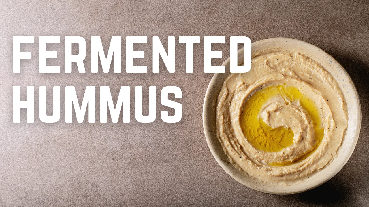 fermented hummus