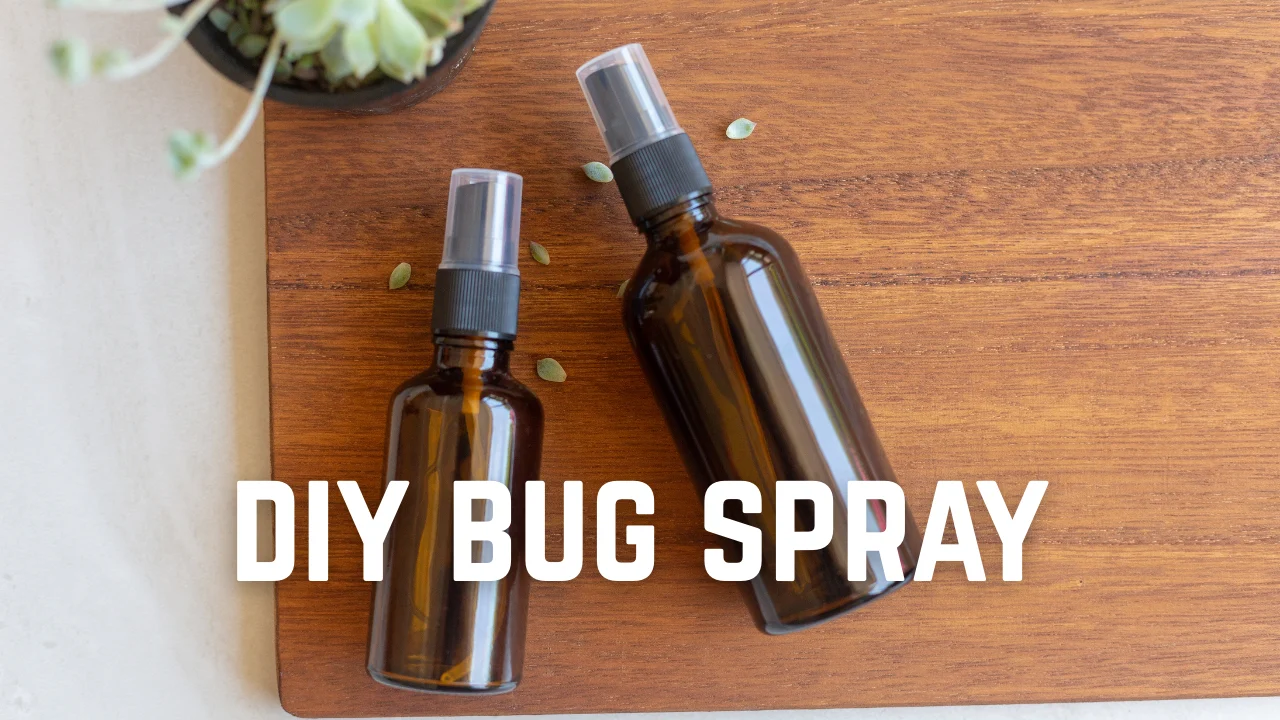 diy bug spray